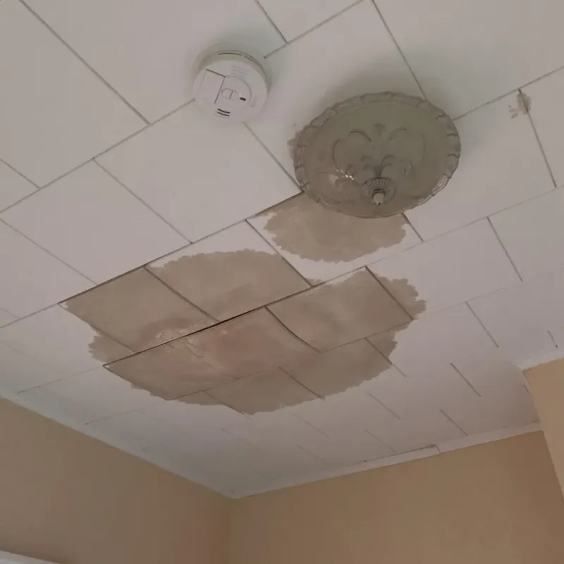 Ceiling Water Damage Repair in New Beaver, PA