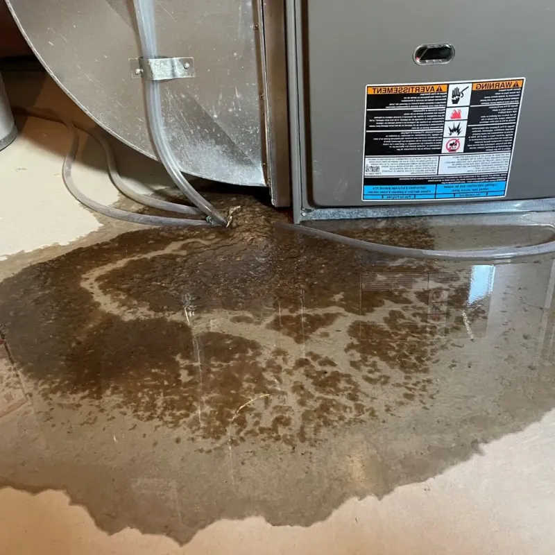 Pipe Burst and Leak Restoration in New Beaver, PA