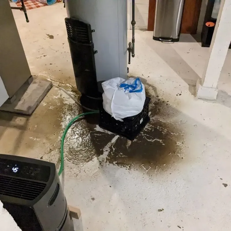 Sewage Backup Cleanup Service in New Beaver, PA